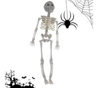 zjhukfmc Figure Squelette | Articulations Mobiles Crâne Corps Complet Os Humain Modèle Jouet - Squelette Complet du Corps pour décoration de cimetière de Maison hantée