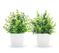 ZJIA Lot de 2 Petites Plantes artificielles de Verdure en Pot pour Maison, Chambre, Salle de Bain, Ferme, Cuisine, décoration intérieure