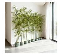 ZJKXJH Bambou Artificiel Arbre Artificiel en Bambou Résistant Aux UV pour Intérieur Et Extérieur, 1,2m, 1,5m, 1,8m, 2,1m Et 2,4m, Fausse Plante Verte(H-180cm (70 7/8"),15 Pole)