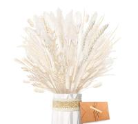ZJTAPE Erba di Pampa Fiori secchi naturali essiccati - Erba di Pampa Fronde soffici Bianche, Bouquet di Fiori secchi Lagurus Fiori secchi per tavolo da Matrimonio Soggiorno Boho Home Vasi Decor