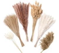 ZJTAPE Herbe de Pampa Séchée - 130 pièces Décoration de Fleurs Séchées Naturelles, Fleurs séchées Dried Flowers, Lagurus Séchées Bouquet pour Mariage Table Salon Vases Boho Home Décor