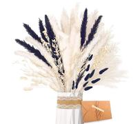 ZJTAPE Pampa séchée - Pampa Naturelle Décoration, Blanc Noir de Décoration de Lagurus, Bouquet de Fleurs Séchées pour Travaux Manuels, pour Table de Mariage, Vases de Salon, Décoration Bohème