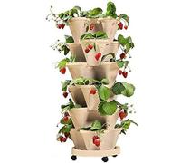 ZJTBDATG Planteur de Fraise Empilable 6 Niveaux Pot de Fleurs Vertical Tour à Fleurs Combinaison Verticale Planteur d'herbes à Quatre pétales Pot de Fleur en Plastique avec Plateau,F,6pcs