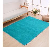 ZJXSNEH La décoration de Tapis,la décoration du Salon,Tapis de Salon,pour Le Directeur de la décoration,Peut être utilisé comme Tapis de Cuisine.Ordinaire Bleu 90x160cm