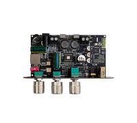 ZK-1001U avec Amplificateur Mono Boost 100 W BT, Carte D'Amplificateur pour Aigus, Basses, TWS, Haut-Parleur DIY TPA3116D2, AMP Wuzhi Audio APP