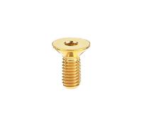 Zkensh-Bolts Boulon en titane M5 x10 12 15 20 25 30 mm Vis de douille hexagonale à tête à tête plate, Largement utilisé(Gold,30MM_M5)
