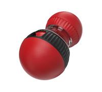 Zktfyshk 1. Puzzle interactif pour chien, distributeur de friandises, jouet à alimentation lente pour balle d'activité mentale et d'entraînement