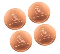 Zktfyshk Disques simples en métal naturel pour bains d'oiseaux mettant en évidence une densité de 0,6 mm et triple assistance pour un faible entretien, équipement de nettoyage de printemps de jardin