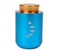 Zkydhbd Cercueil urne pour cendres d'animaux domestiques - Cadeau de condoléances - Accessoires de bijoux commémoratifs - Boîte commémorative en acier inoxydable