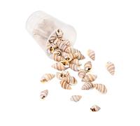 Zkydhbd Coquilles de conque naturelles - Fournitures d'art - Collection artisanale pour la décoration de la maison et les projets créatifs - Coquillages - Composant de bijoux, taille unique, Comme