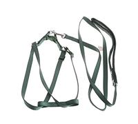 Zkydhbd Harnais laisse pour animal de compagnie pour dressage de vol, fournitures de contrôle facile, harnais pour animal de compagnie pour voler pour chiot distributeur de pelle