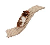 Zkydhbd La clôture en échelle offre la tranquillité d'esprit et la sécurité à vos compagnons à fourrure de charmant hamster, jouet d'escalade en verre, cage naine