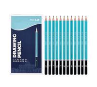 Zkydhbd Lot de 12 crayons à dessin en bois pour artistes professionnels, débutants, œuvres d'art détaillées et utilisation en extérieur