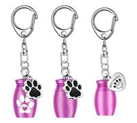 Zkydhbd Lot de 3 porte-clés urnes funéraires en métal pour cendres d'animaux domestiques, souvenirs, urnes, porte-bijoux, porte-clés
