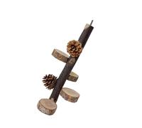 Zkydhbd Perchoir à oiseaux échelle support molaire pour perroquets, conures, perruches, griffoirs pour petits et grands perroquets, jouet perchoir pour oiseaux