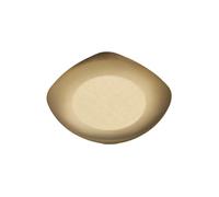 Zkydhbd Plat à condiments élégant en métal 304 en acier inoxydable 304 - Assiette à apéritif multifonction pour salle à manger, cuisine, vaisselle, restaurant, plats à condiments