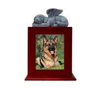 Zkydhbd Urne funéraire en bois pour chien - Cadeau commémoratif - Cadre photo commémoratif pour cendres d'animaux décédés