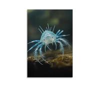 ZLLJXFZZ Poster animal piscine en cristal, grotte aveugle amphipode décoration murale moderne à suspendre 20 x 30 cm