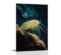 ZLLJXFZZ Poster animal piscine en cristal, grotte aveugle amphipode décoration murale moderne à suspendre 20 x 30 cm