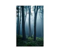 ZLLJXFZZ Poster mural moderne à suspendre « A Foggy Morning in A Forest, with Soft Light Filtering through The Trees And A Sense of Mystery » (30 x 45 cm)