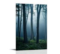 ZLLJXFZZ Poster mural moderne à suspendre « A Foggy Morning in A Forest, with Soft Light Filtering through The Trees And A Sense of Mystery » (30 x 45 cm)