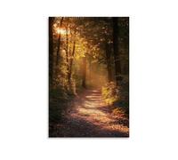 ZLLJXFZZ Un chemin forestier avec lumière du soleil dorée filtrant à travers les arbres, art mural réalisme poétique, décoration murale moderne à suspendre, affiche d'art à suspendre (50 x 75 cm)