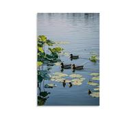 ZLLJXFZZ Une scène tranquille au bord du lac avec de l'eau calme, des nénuphars flottants et une famille de canards nageant au bord de l'eau murale, décoration murale moderne, poster d'art à suspendre
