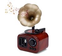 ZLLkeji Boîte à Musique Retro Phonographie Mini Mécanisme Boîte à Musique Idée Cadeau pour La Famille, Les Amis, Les Anniversaires Et Noël