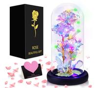 ZLPBAO Rose Eternelle sous Cloche avec LED Lumières, La Belle et la Bête, Rose Fleur de Noël, Fleur Artificielle Cadeau pour Femme Maman Mère Grand-mère, pour Fête des Mères, Mariage, Anniversaire