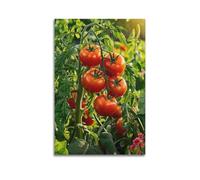 ZlXXYZ Impression sur toile pour salon - Poster de plante de tomate luxuriante - Décoration artistique fraîche et naturelle - 40 x 60 cm - Style sans cadre