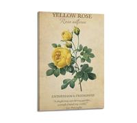 ZlXXYZ Poster sur toile pour décoration murale moderne de bureau familial - Enthousiasme des plantes et amitié de roses jaunes avec cadre 50 x 75 cm