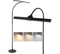ZMH LED Lampadaire à intensité variable Salon Liseuse - Lampadaire moderne 10W Touch Lampadaire avec minuterie et fonction mémoire Col de cygne flexible éclairage Décoration pour chambre bureau - Haut