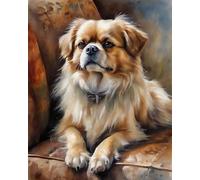 ZMHZMY Peinture Par Numéro Pour DéButant Adultes Épagneul tibétain sur un canapé Kits de peinture Thanksgiving,Anniversaire Le Nouvel An Coffret Cadeau,40x50cm