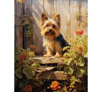 ZMHZMY Peinture Par NuméRos Pour Adultes Chien Yorkshire Terrier à la ferme DIY Kit de peinture à l'huile à la main sur toile Mur Art Decor 40x50cm
