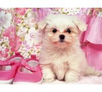 Znnhtyj Chiot Diamond Painting, Peinture Diamant Adulte Enfant, Chien Broderie Diamant Kit Complet, Diamant Painting Artisanat Strass Point de Croix Painting pour Décoration Murale Cadeau 20x30cm