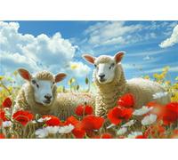 Znnhtyj Fleurs 5D DIY Peinture au Diamant, Peinture numérique au Diamant Moutons DIY Cristal Strass Peinture Plein Forage Broderie Artisanat Point De Croix Chambre Salon Décoration Murale 30x40cm