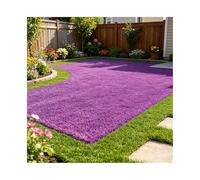 ZNQNDSR Gazon Artificiel Extérieur Découpable, Tapis d'herbe Coloré avec Trous De Drainage, pour Toit De Zone pour Animaux De Compagnie De Cour De Patio(Purple,6.5x82ft)