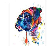 znwrr 5D bricolage carré/rond diamant peinture couleur Boxer chien point de croix diamant broderie motif strass 40x50cm