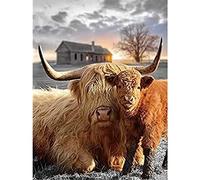 znwrr 5D Diamant Peinture Kits Animal Highland Bovins Avec Bébé Vache Forage Complet Perles Rondes Diamant Art Gemmes Pierre DIY Kits Décoration Murale 30x40 cm