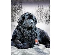 znwrr DIY 5D Diamant Peinture Kits Diamond Painting adultes enfant Chien de Terre-Neuve Pour Décoration de la Maison Peinture Plein Diamant Cadeaux d'anniversaire 50x60cm