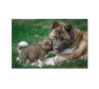 znwrr Peinture diamant 5D à faire soi-même - Chien Akita américain - Mère et chiot - Broderie diamant au point de croix - Mosaïque - Décoration cadeau - 50x60cm