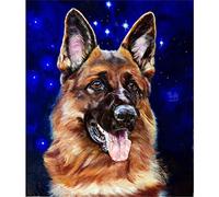 znwrr Peinture diamant 5D à faire soi-même, kit complet de peinture diamant étoile chien berger allemand, broderie ronde avec strass, artisanat, décoration murale de la maison, 30x40 cm
