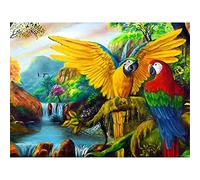 Zocunzi Kit Diamond Painting Perroquet Animal Peinture Diamant 5d Complet Enfant,Kit Broderie Diamant Grand Format,Diamant Painting Art Creatif Adulte,Canevas Artisanat la Décoration Murale 50x70cm