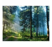 Zocunzi Peinture Diamant 5D Forage Complet Forêt pittoresque DIY Diamant Peinture Kit pour Adultes,Diamond Painting pour Enfants,Broderie Tableau Point de Croix Kit,Strass Image Décor Cadeau 60x90cm