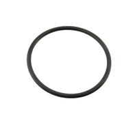 Zodiac Joint torique d'électrode Ei W151281 R0738500 - pour Equipement de piscine
