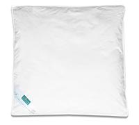 ZOLLNER Couette pour Enfants, 80 x 80 cm, Duvet, Plumes, Coton