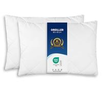 ZOLLNER Lot de 2 Coussins - Made in Europe - Remplissage Polyester - Housse en Tissu mélangé - Lavable à 95°C - 30x40 cm - qualité hôtel - certifié Oeko Tex®