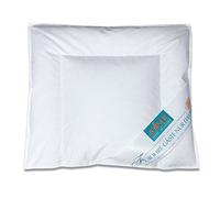 ZOLLNER Oreiller, 35x40 cm, rempli de Duvet et de Plumes, Blanc, 90g