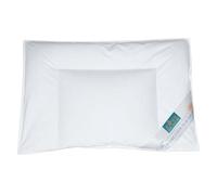 ZOLLNER Oreiller, 40x60 cm, rempli de Duvet et de Plumes, Blanc, 150g