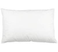 ZOLLNER Oreiller - Remplissage 100% Plumes - taie en Coton de Haute qualité - Made in Germany - Lavable jusqu'à 60°C - 60x80 cm - qualité hôtel - certifié Oeko Tex®